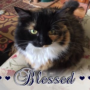 Meet your Posher, Linda